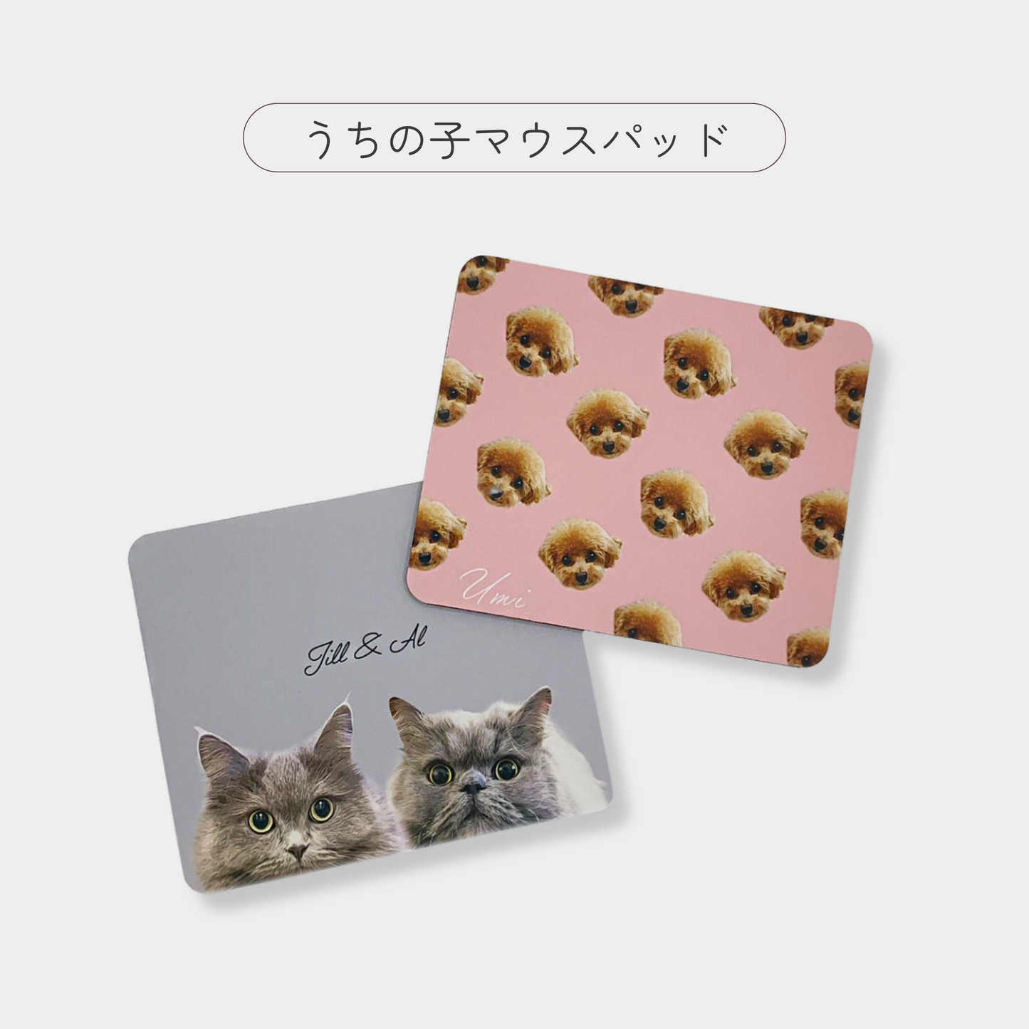 -モニター商品専用オプションセット- うちの子マウスパッド
