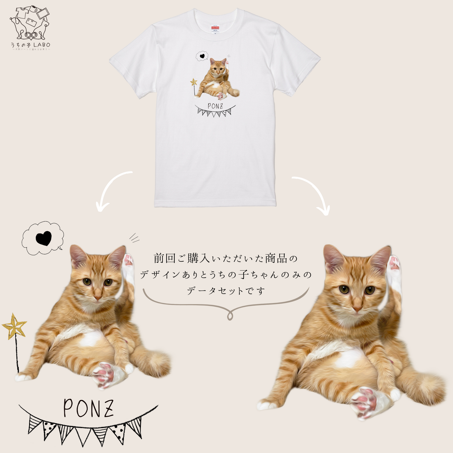 前回ご購入いただいた方のデータ購入専用ページ