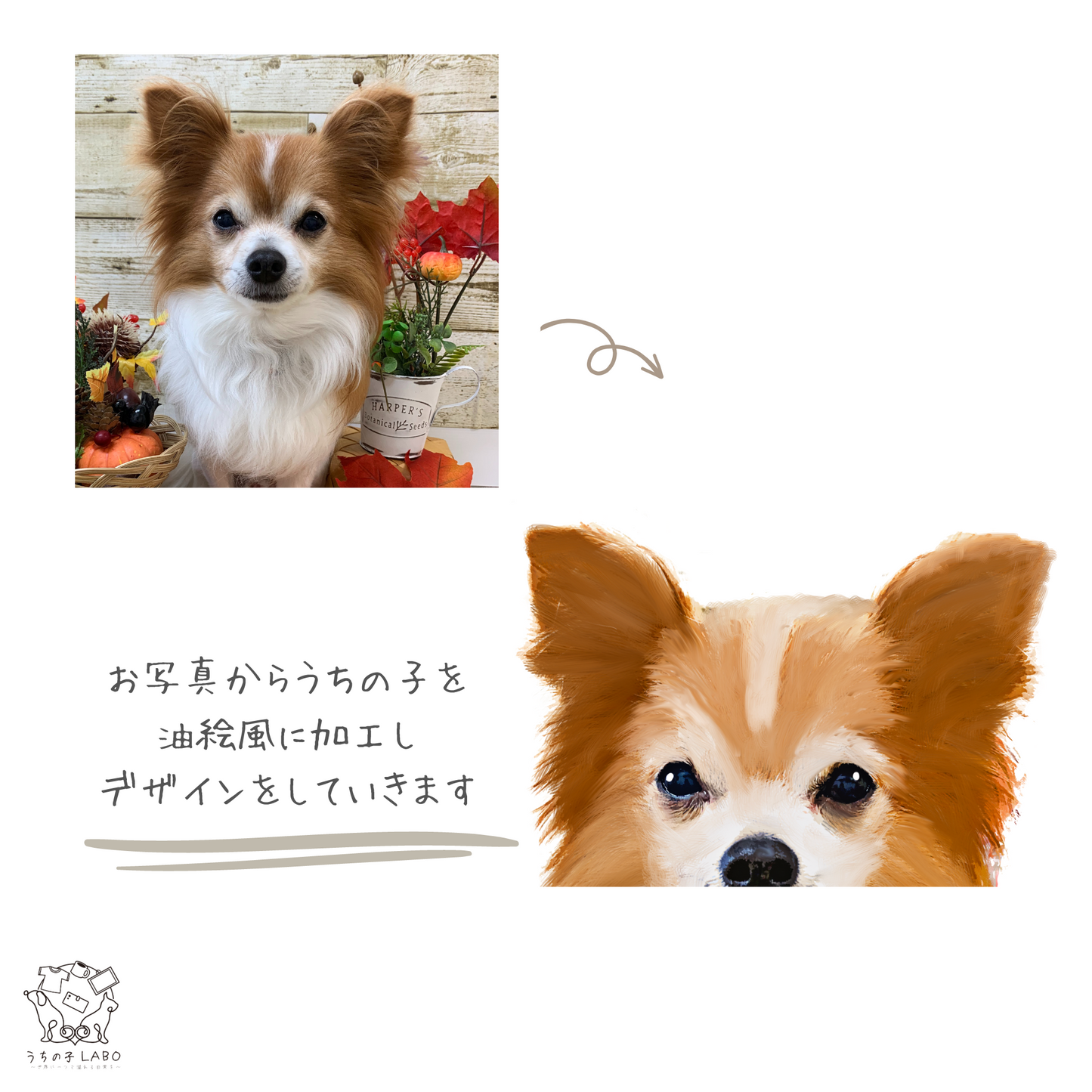 うちの子ひょっこりガラスコースター