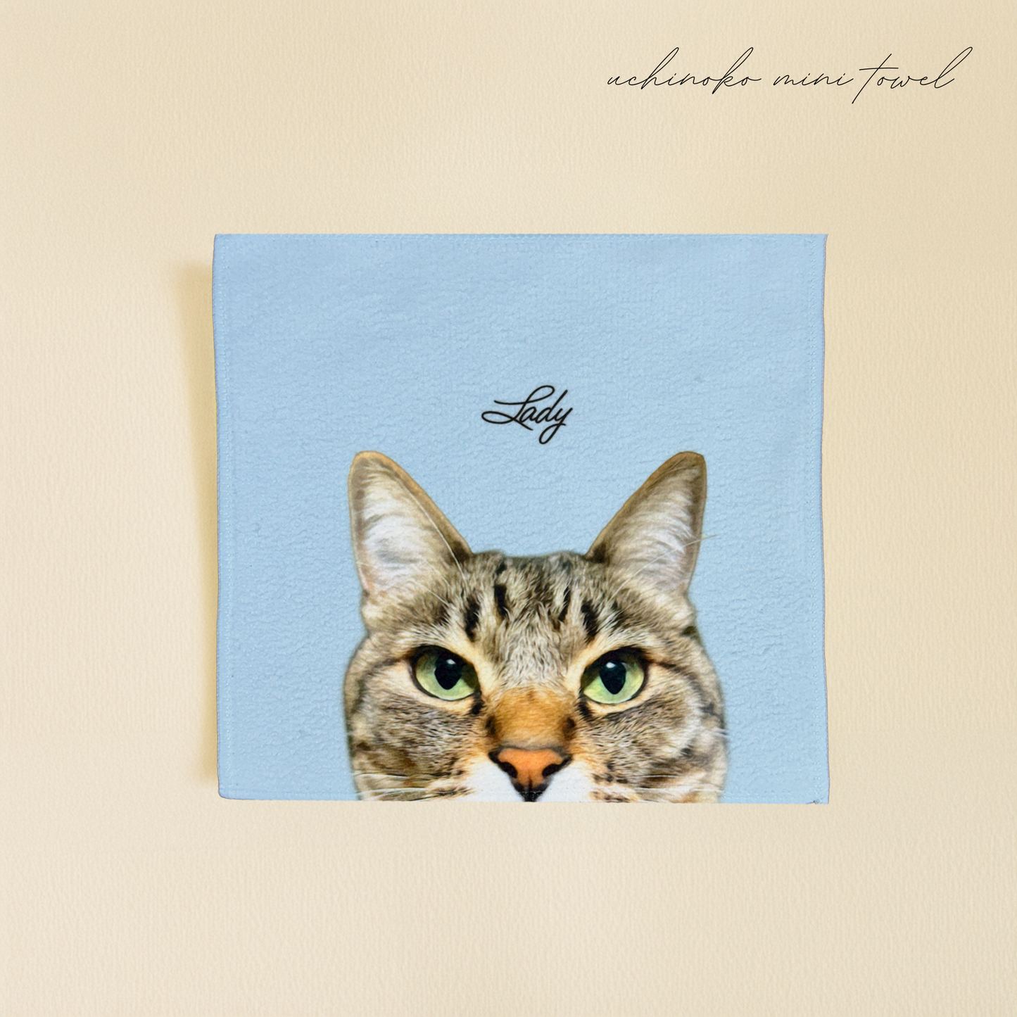 うちの子ひょっこりミニタオル