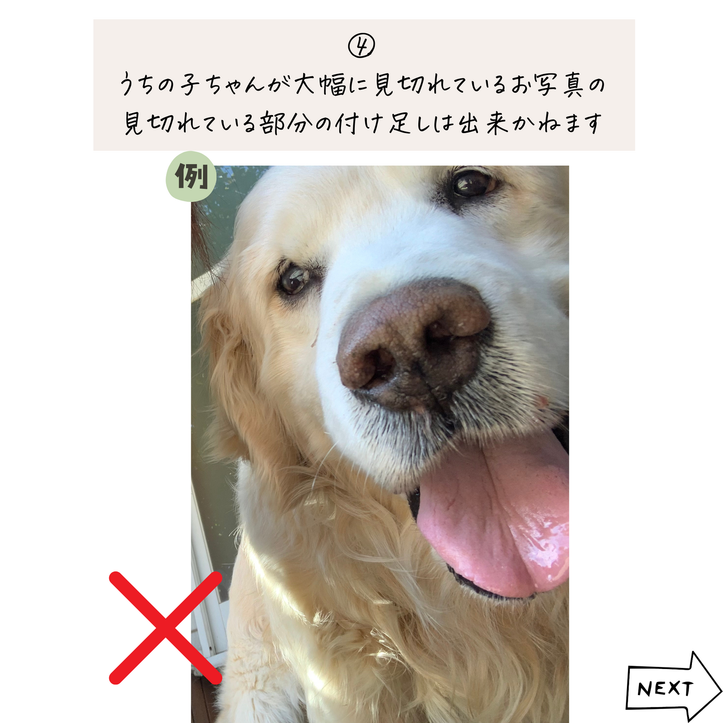 うちの子ひょっこりTシャツ