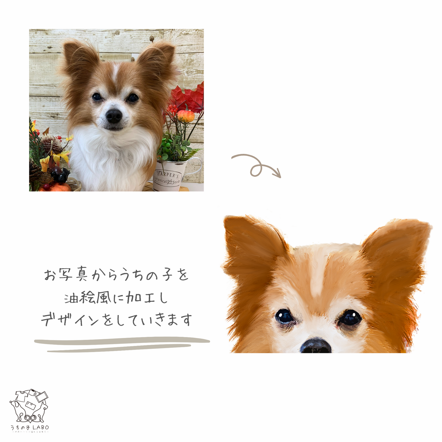 うちの子ひょっこりマグカップ