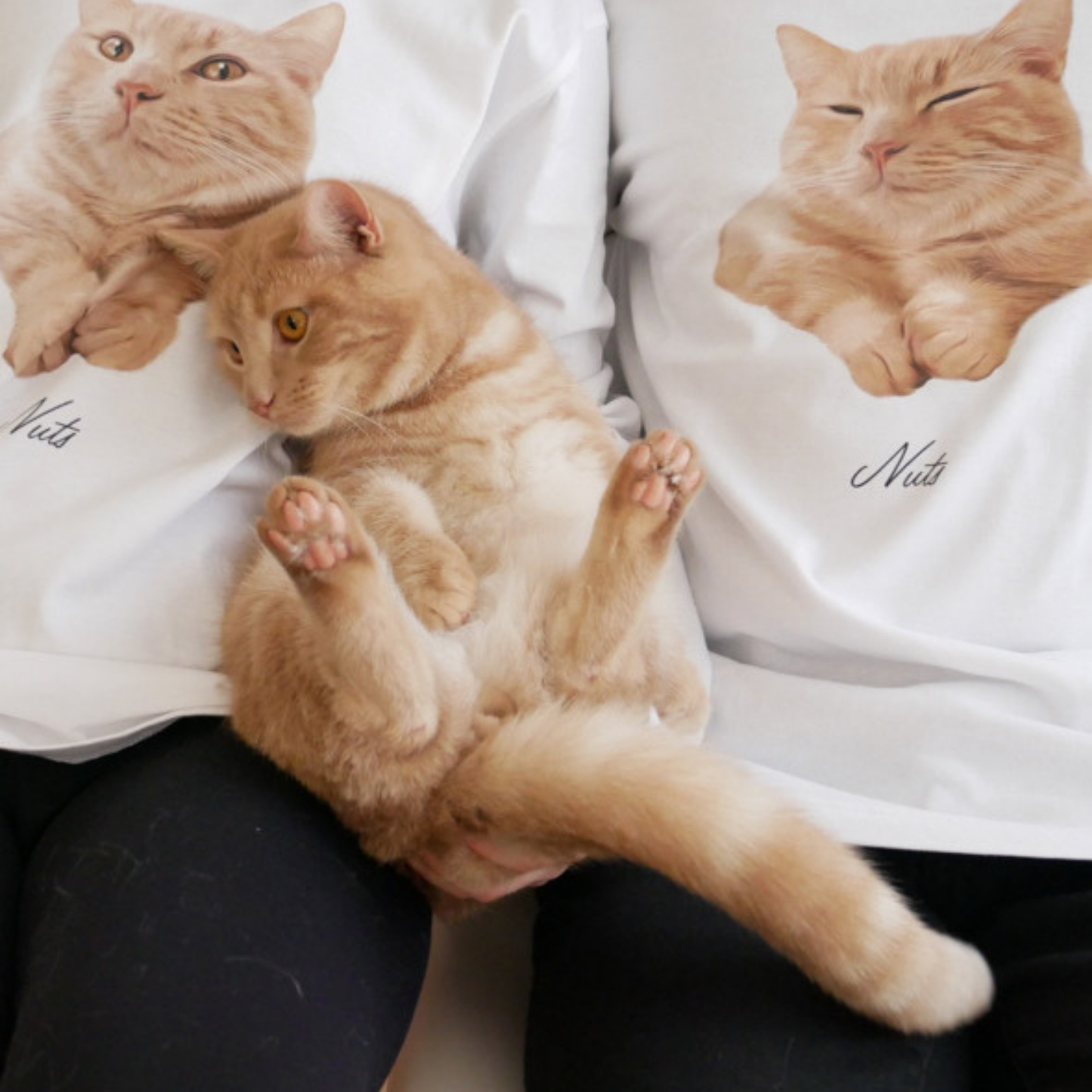 うちの子イラスト風半袖Tシャツ