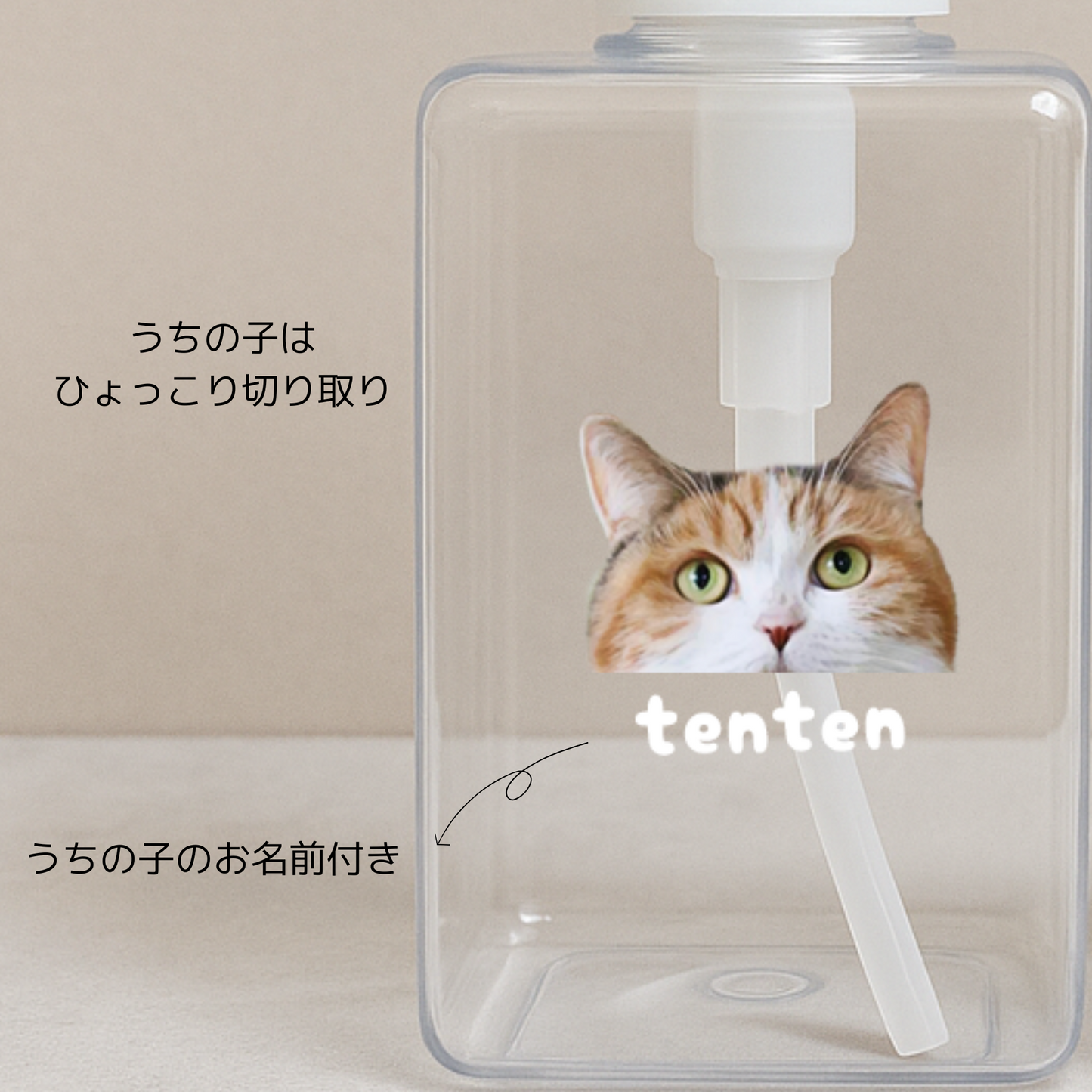 うちの子ソープディスペンサー