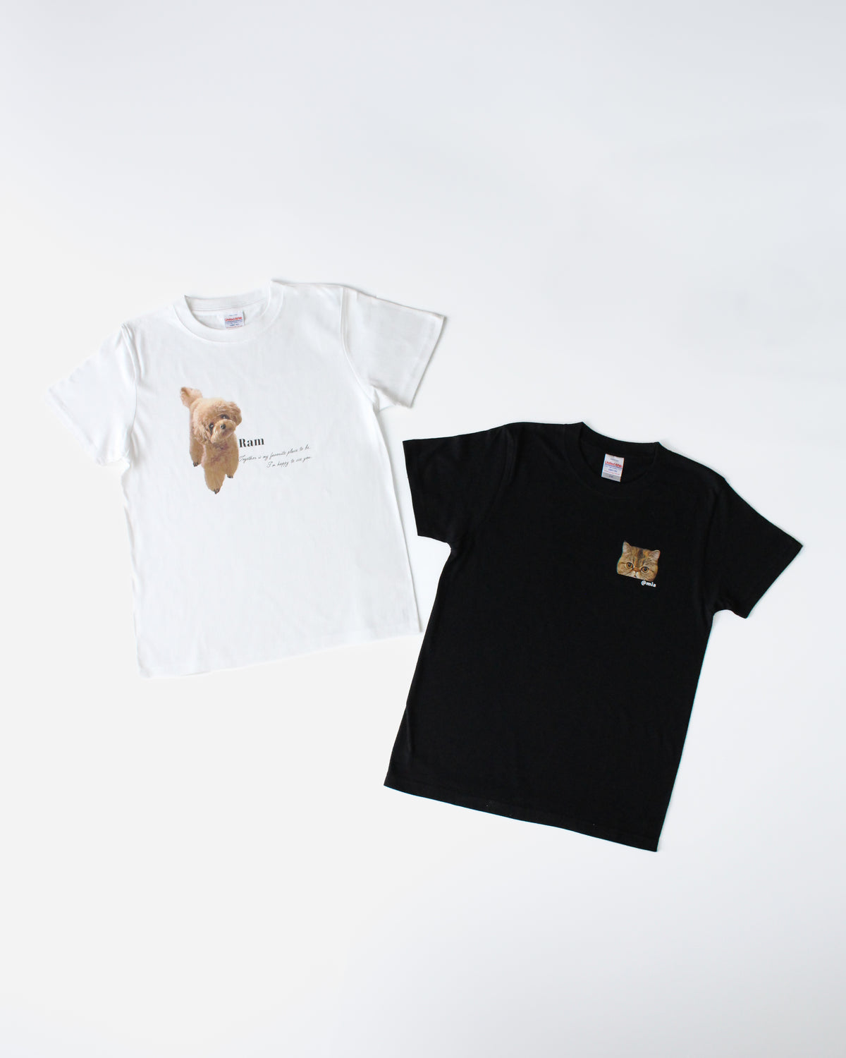 【オプション商品】Tシャツ