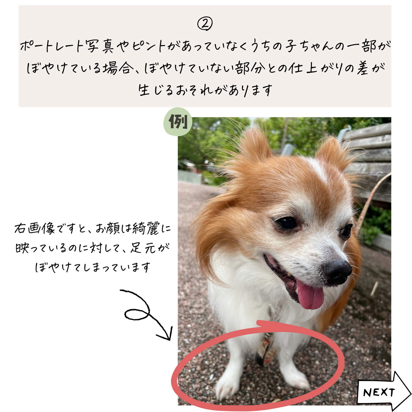 うちの子ひょっこりマグカップ