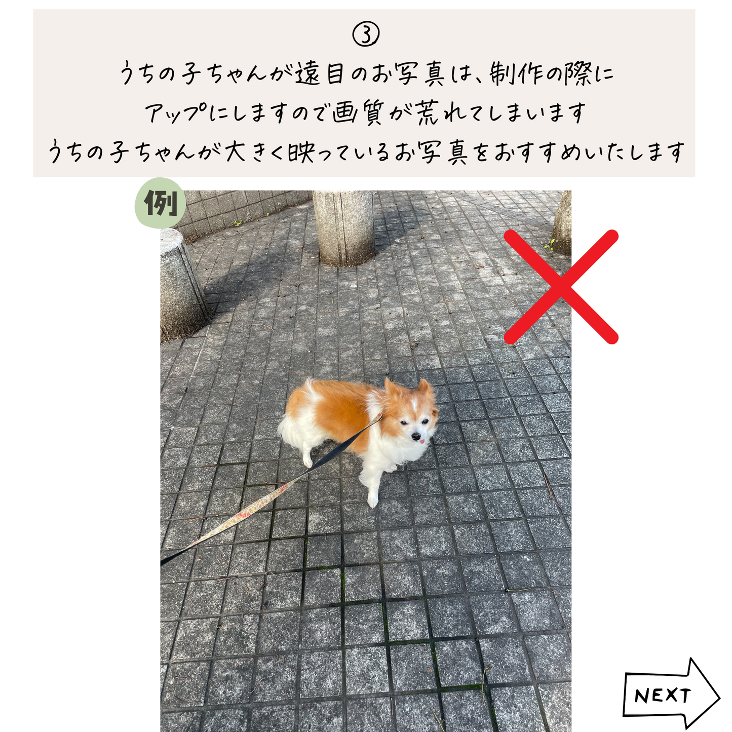 うちの子ひょっこりマグカップ