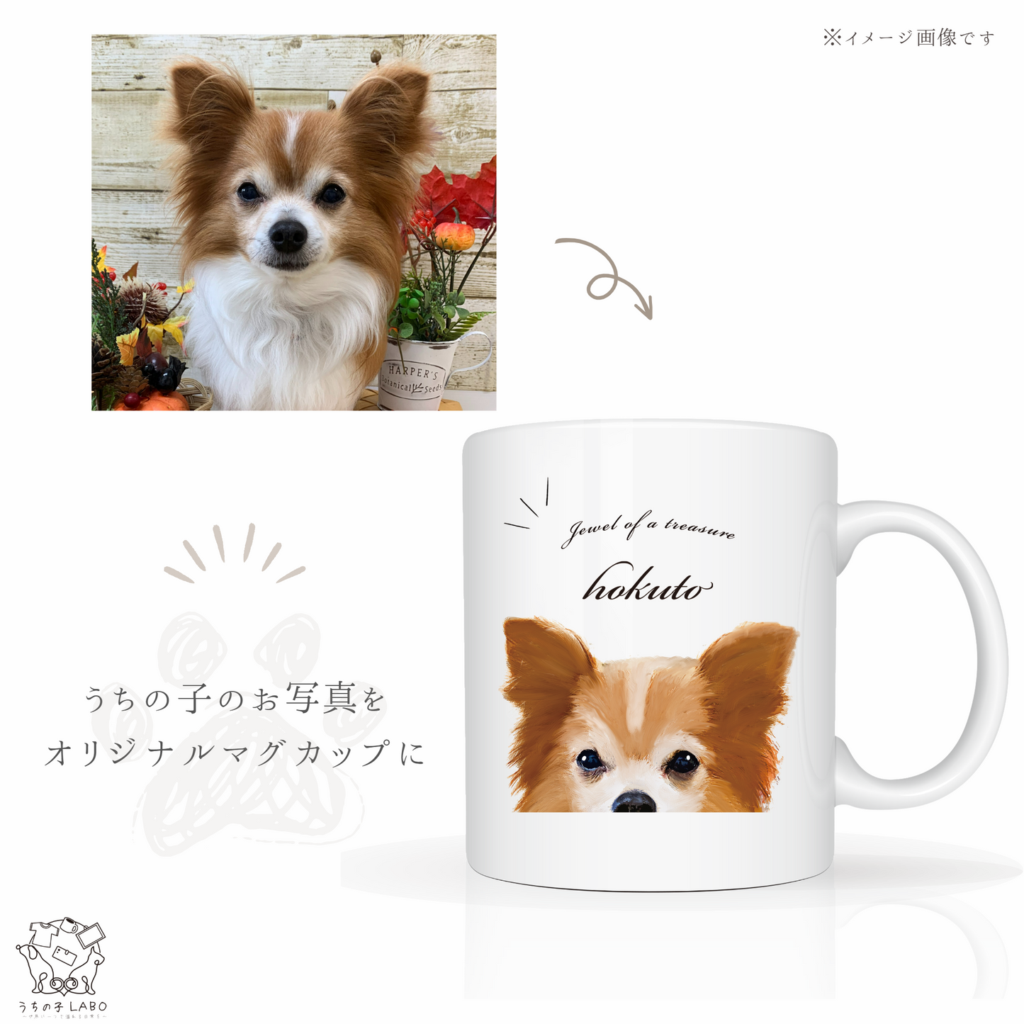 うちの子ひょっこりマグカップ