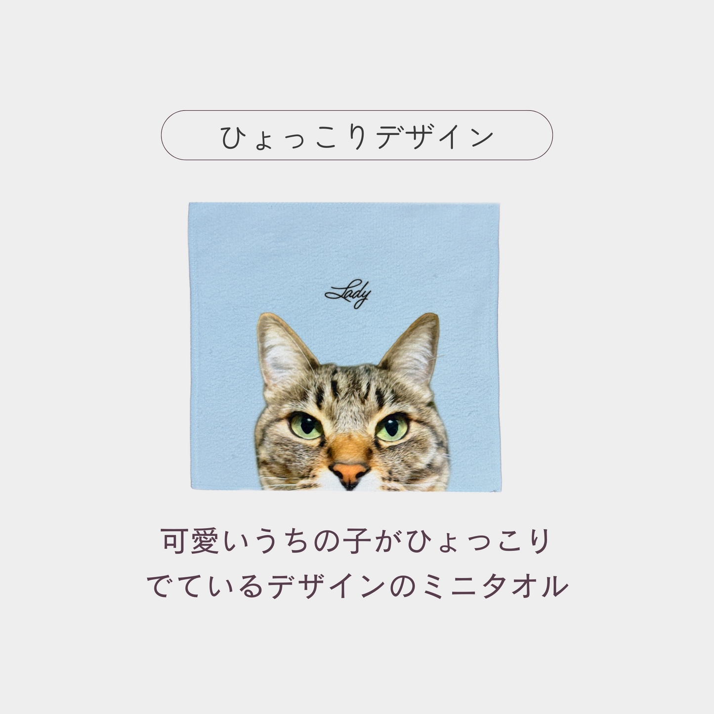 うちの子ひょっこりミニタオル