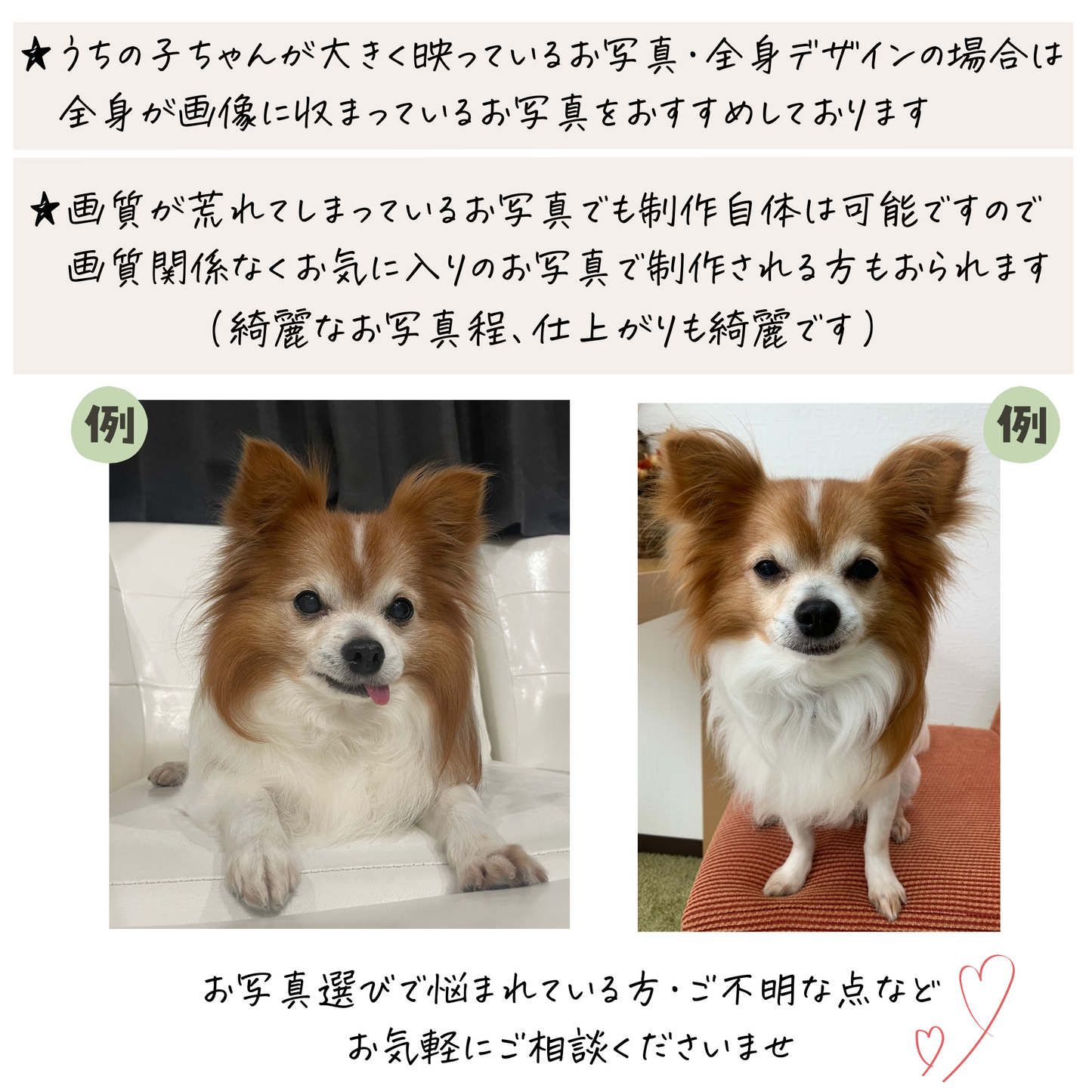 うちの子ひょっこりマグカップ
