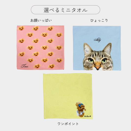 LINE友達限定！【追加オプション商品】うちの子ミニタオル