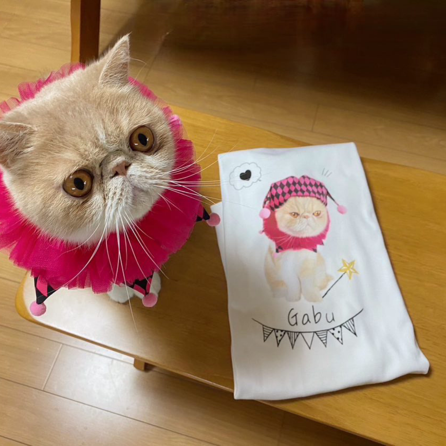 うちの子イラスト風半袖Tシャツ