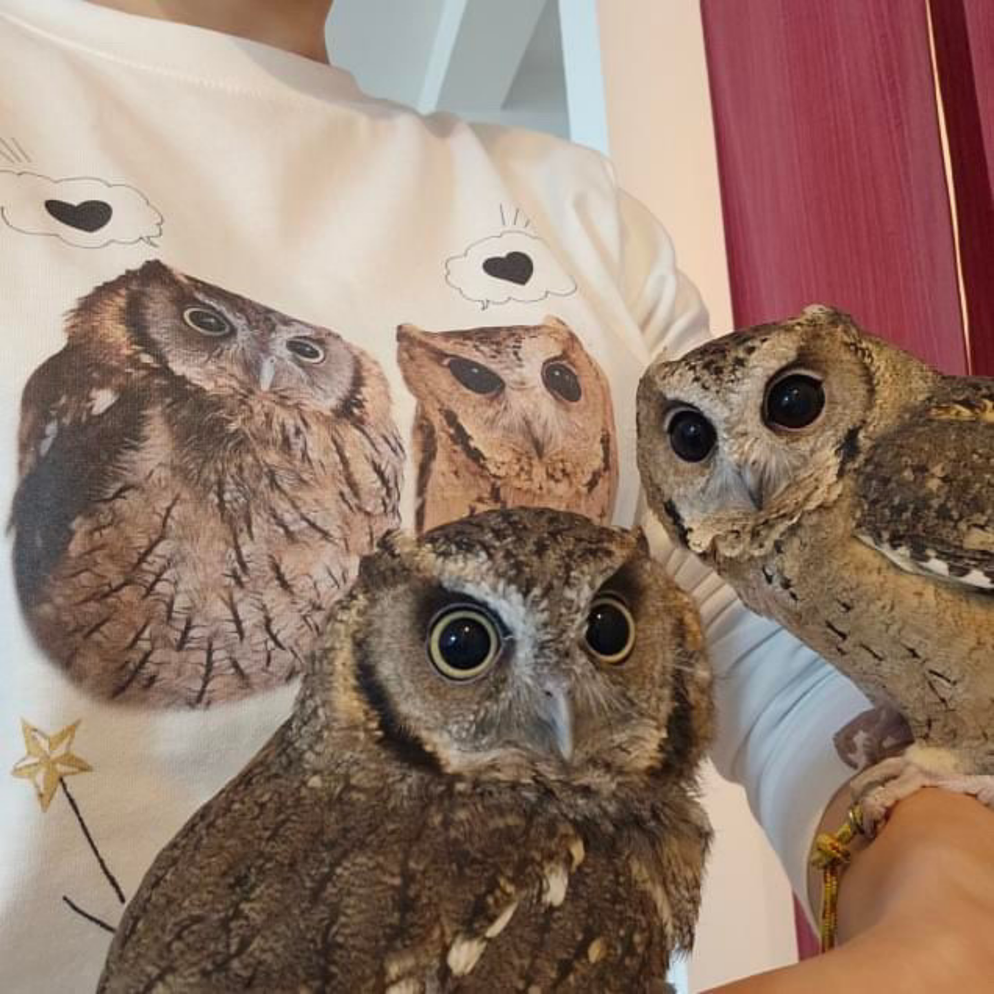 うちの子イラスト風半袖Tシャツ