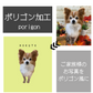 うちの子のお写真をポリゴン風に加工（データ商品）