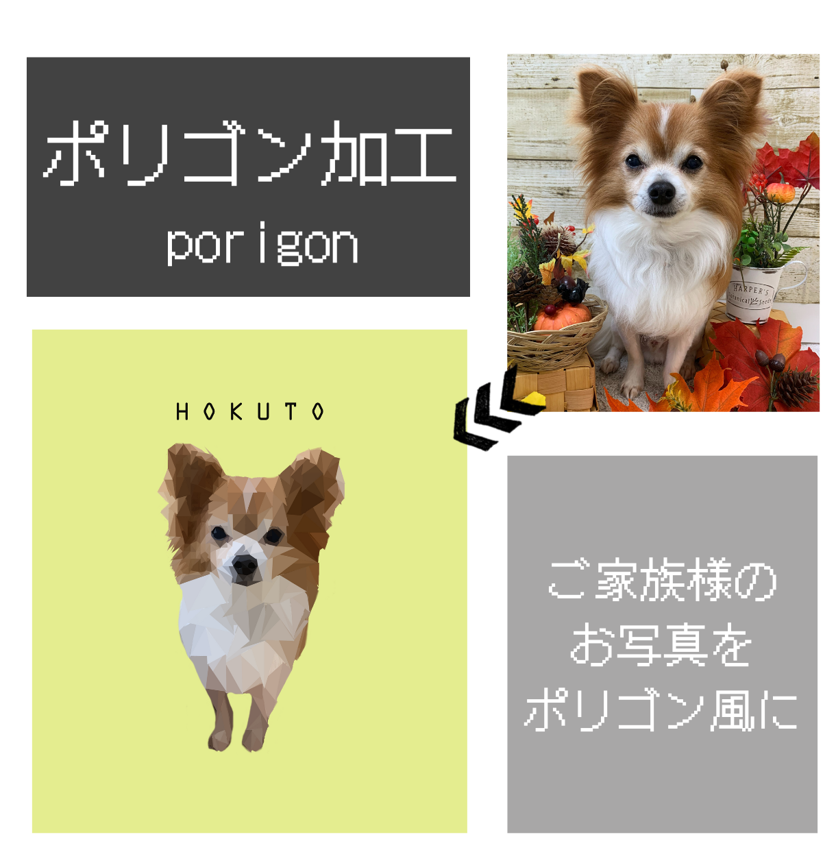 うちの子のお写真をポリゴン風に加工（データ商品）